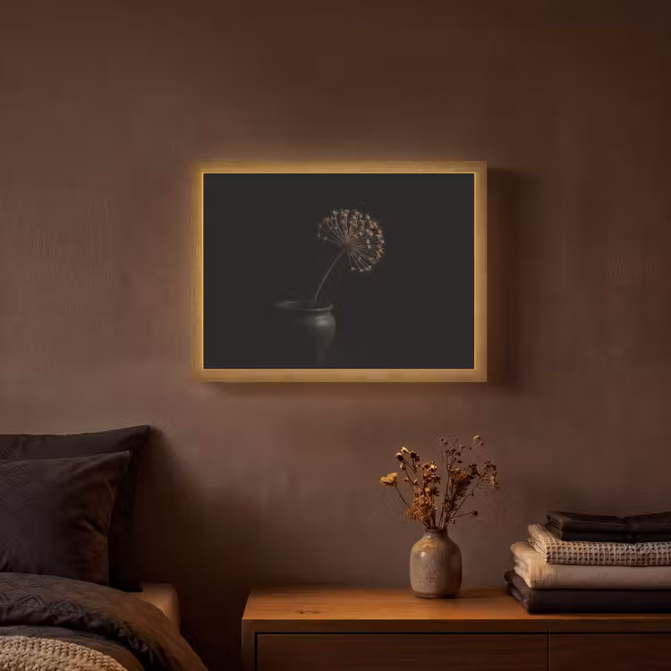 Lightbox - Wandlamp - Bol - Gedroogd - Vaas - Zwart — 3