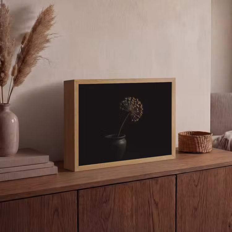Lightbox - Wandlamp - Bol - Gedroogd - Vaas - Zwart — 4