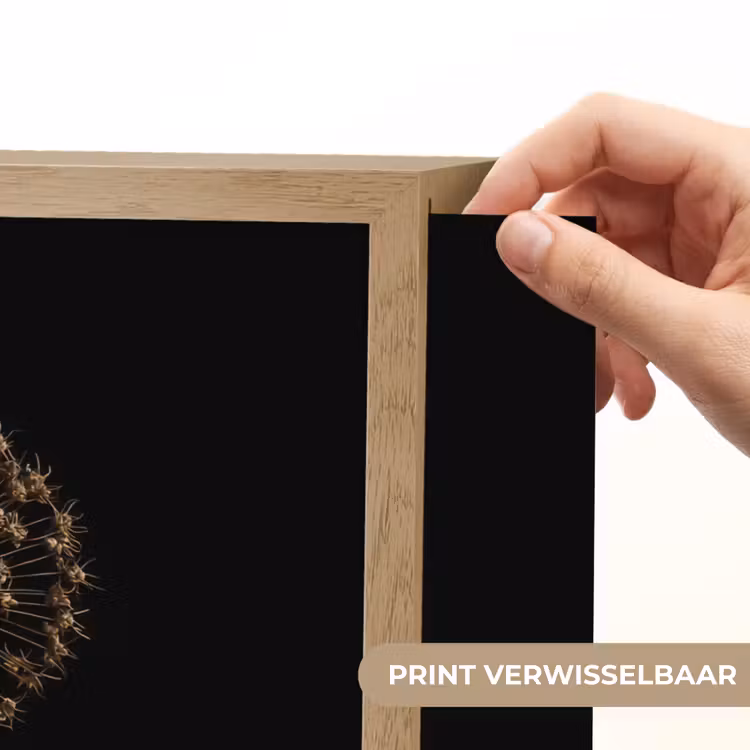 Lightbox - Wandlamp - Bol - Gedroogd - Vaas - Zwart — 5