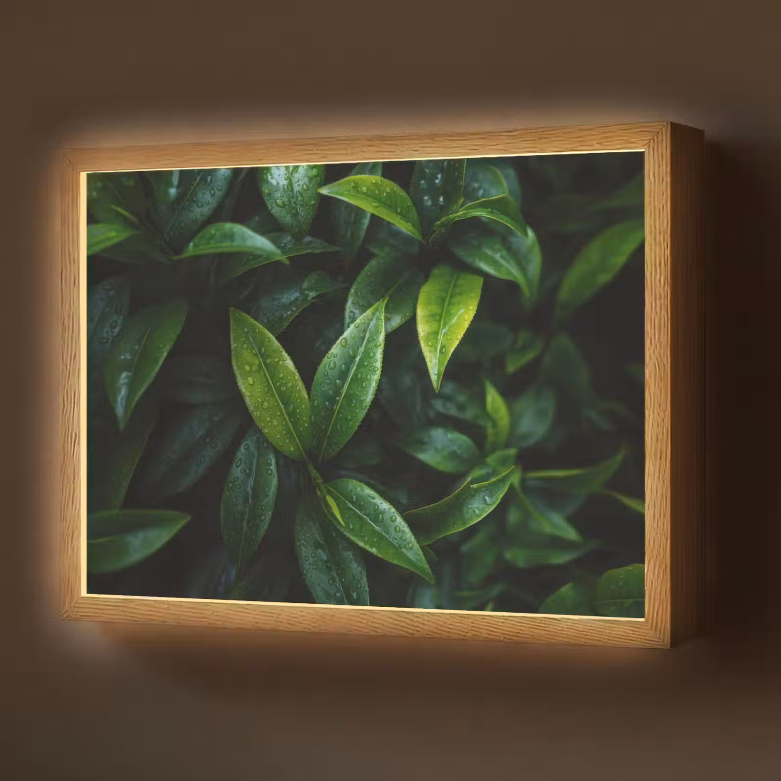Lightbox - Wandlamp - Bladeren - Regendruppels - Licht - Groen — 1