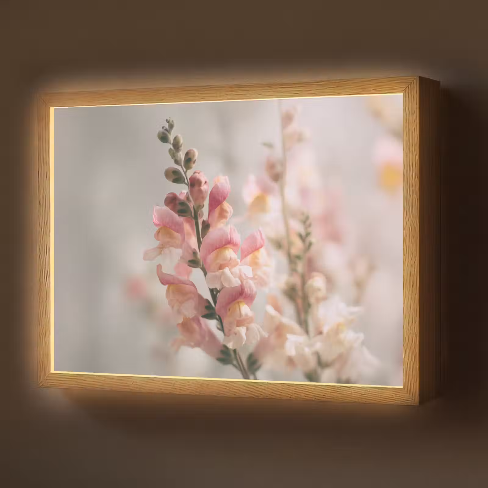 Lightbox - Wandlamp - Bloem - Leeuwenbek - Roze - Stengel — 1