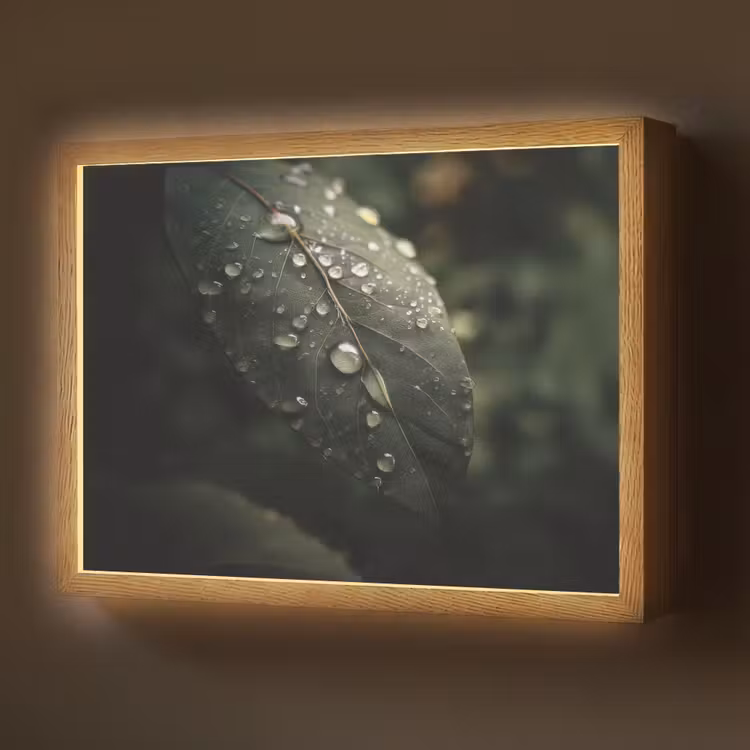 Lightbox - Wandlamp - Blad - Groen - Nerven - Regendruppels — 1