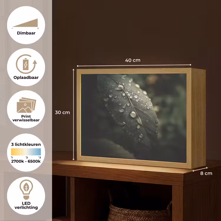 Lightbox - Wandlamp - Blad - Groen - Nerven - Regendruppels — 10