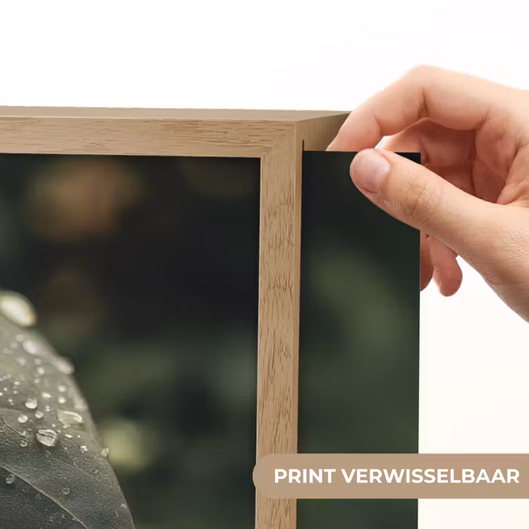 Lightbox - Wandlamp - Blad - Groen - Nerven - Regendruppels — 5
