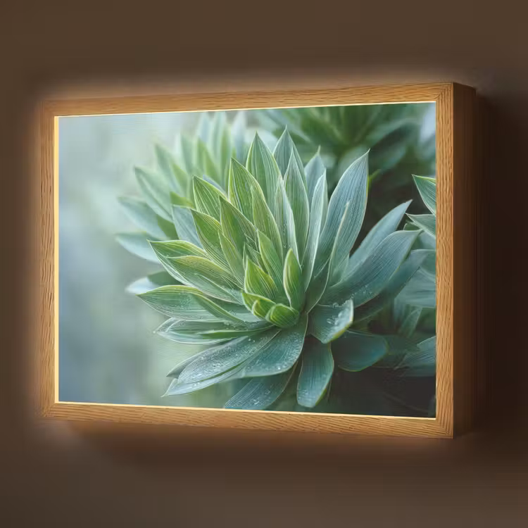 Lightbox - Wandlamp - Blad - Plant - Groen - Textuur — 1