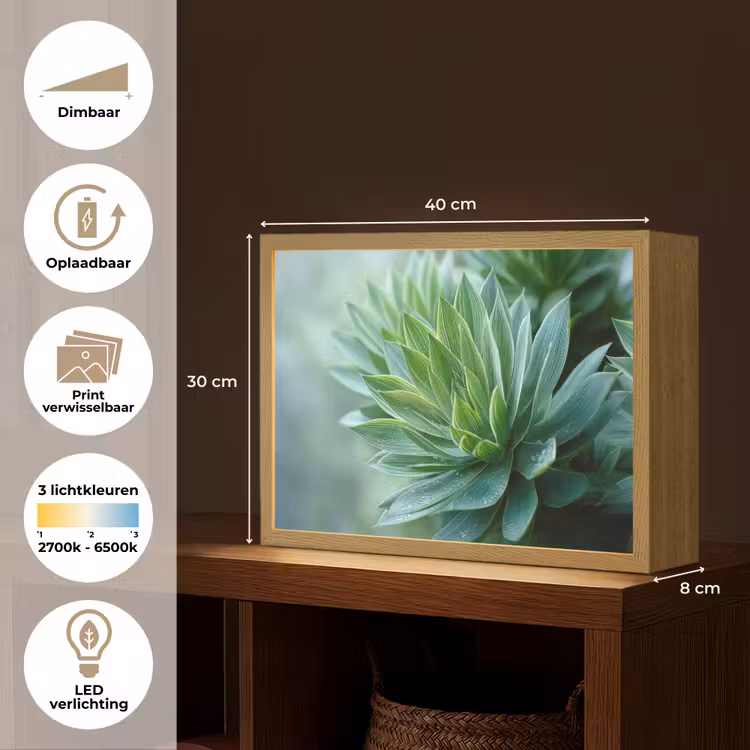 Lightbox - Wandlamp - Blad - Plant - Groen - Textuur — 10