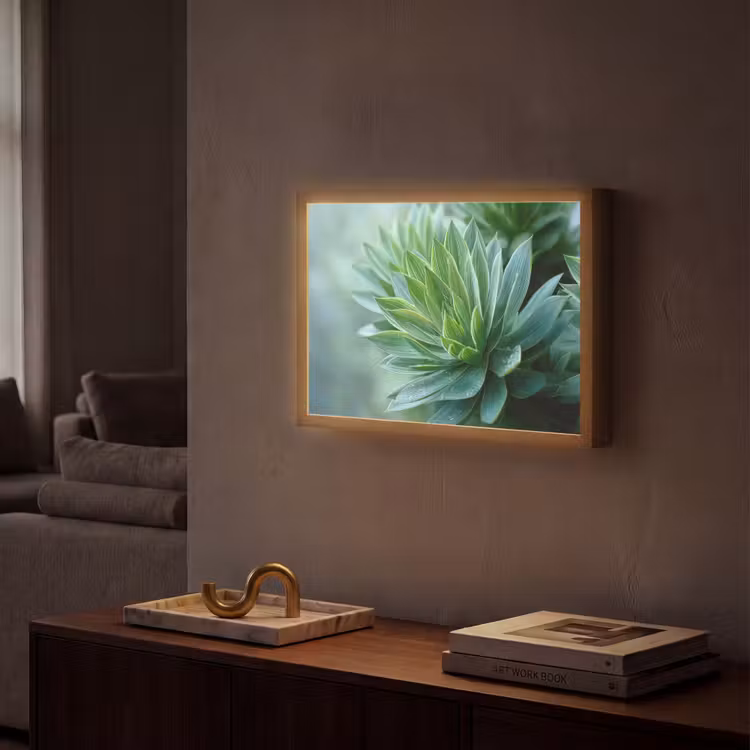 Lightbox - Wandlamp - Blad - Plant - Groen - Textuur — 2
