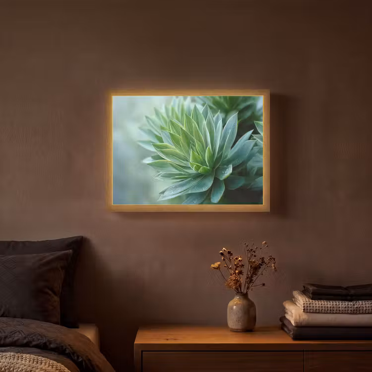 Lightbox - Wandlamp - Blad - Plant - Groen - Textuur — 3