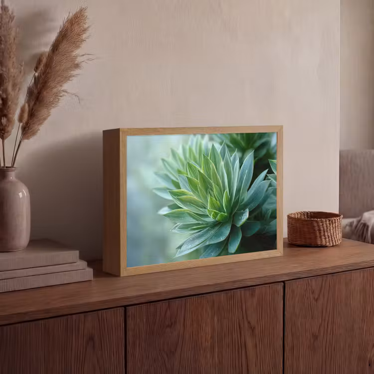 Lightbox - Wandlamp - Blad - Plant - Groen - Textuur — 4