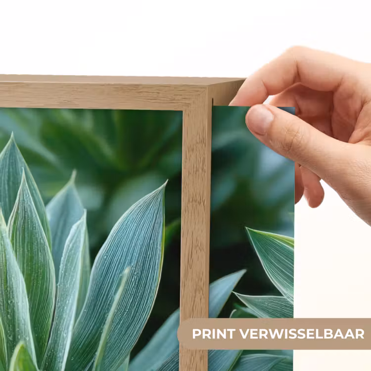 Lightbox - Wandlamp - Blad - Plant - Groen - Textuur — 5