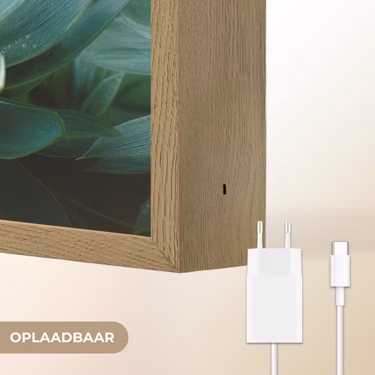 Lightbox - Wandlamp - Blad - Plant - Groen - Textuur — 7