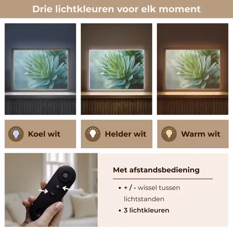Lightbox - Wandlamp - Blad - Plant - Groen - Textuur — 8