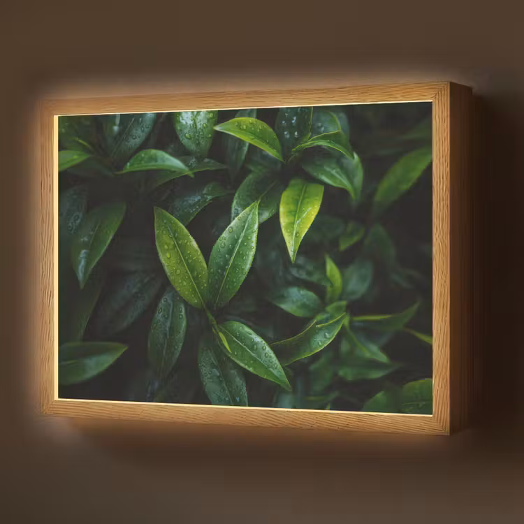 Lightbox - Wandlamp - Bladeren - Regendruppels - Licht - Groen — 1