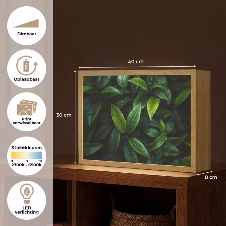 Lightbox - Wandlamp - Bladeren - Regendruppels - Licht - Groen — 10