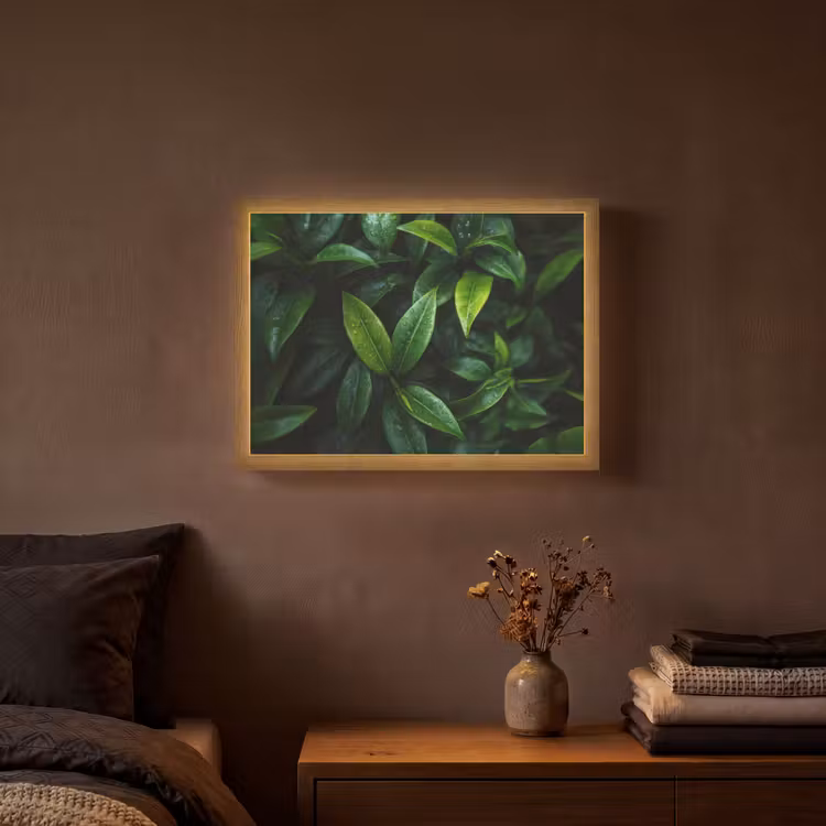 Lightbox - Wandlamp - Bladeren - Regendruppels - Licht - Groen — 3