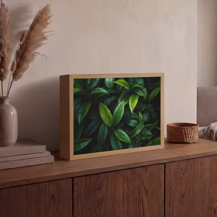 Lightbox - Wandlamp - Bladeren - Regendruppels - Licht - Groen — 4