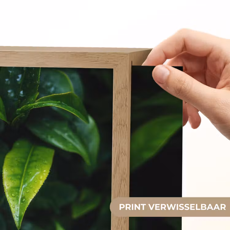 Lightbox - Wandlamp - Bladeren - Regendruppels - Licht - Groen — 5