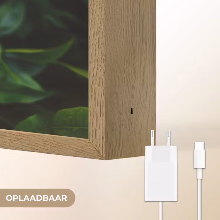 Lightbox - Wandlamp - Bladeren - Regendruppels - Licht - Groen — 7