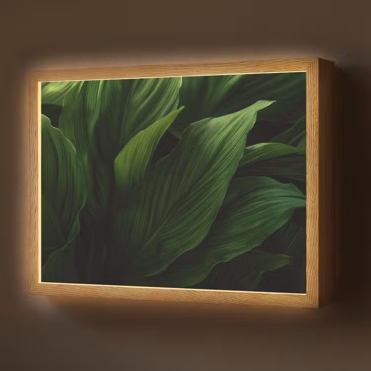 Lightbox - Wandlamp - Bladeren - Schaduw - Groen - Textuur — 1