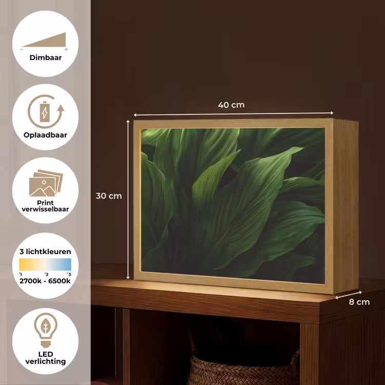Lightbox - Wandlamp - Bladeren - Schaduw - Groen - Textuur — 10