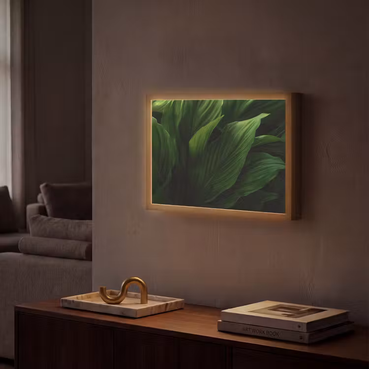Lightbox - Wandlamp - Bladeren - Schaduw - Groen - Textuur — 2