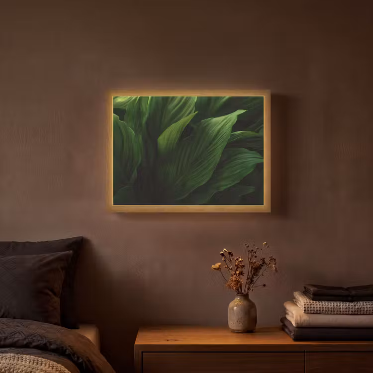 Lightbox - Wandlamp - Bladeren - Schaduw - Groen - Textuur — 3