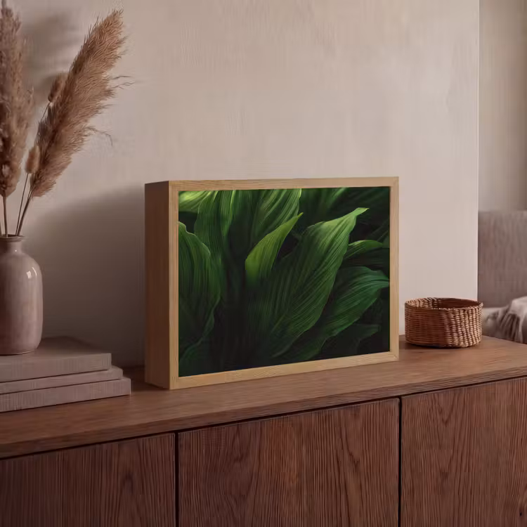 Lightbox - Wandlamp - Bladeren - Schaduw - Groen - Textuur — 4