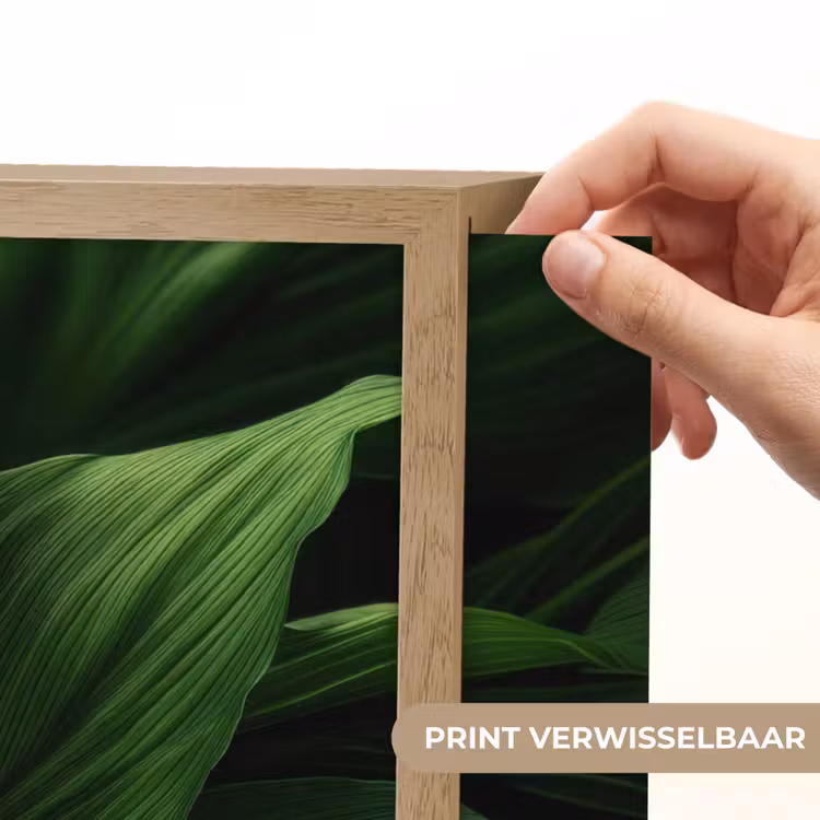 Lightbox - Wandlamp - Bladeren - Schaduw - Groen - Textuur — 5