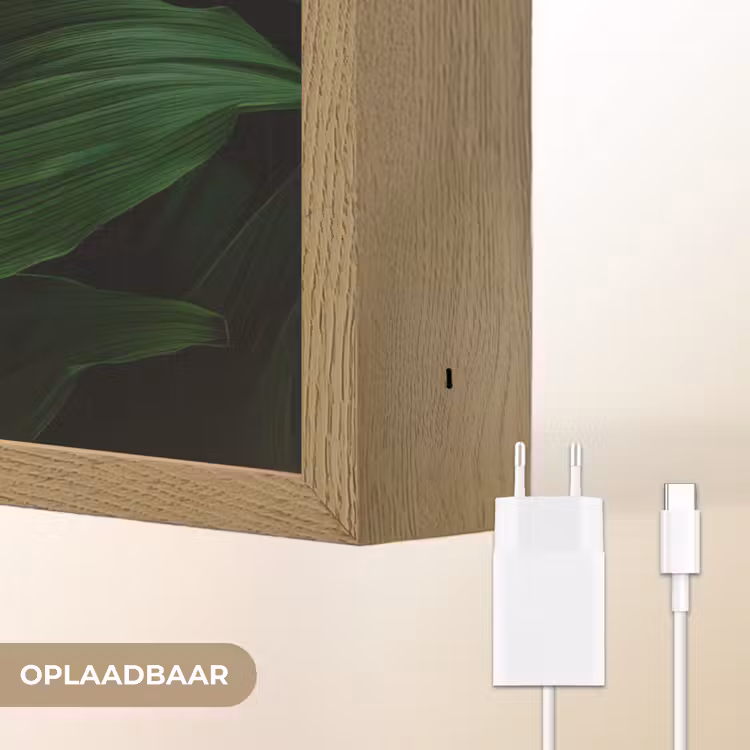 Lightbox - Wandlamp - Bladeren - Schaduw - Groen - Textuur — 7