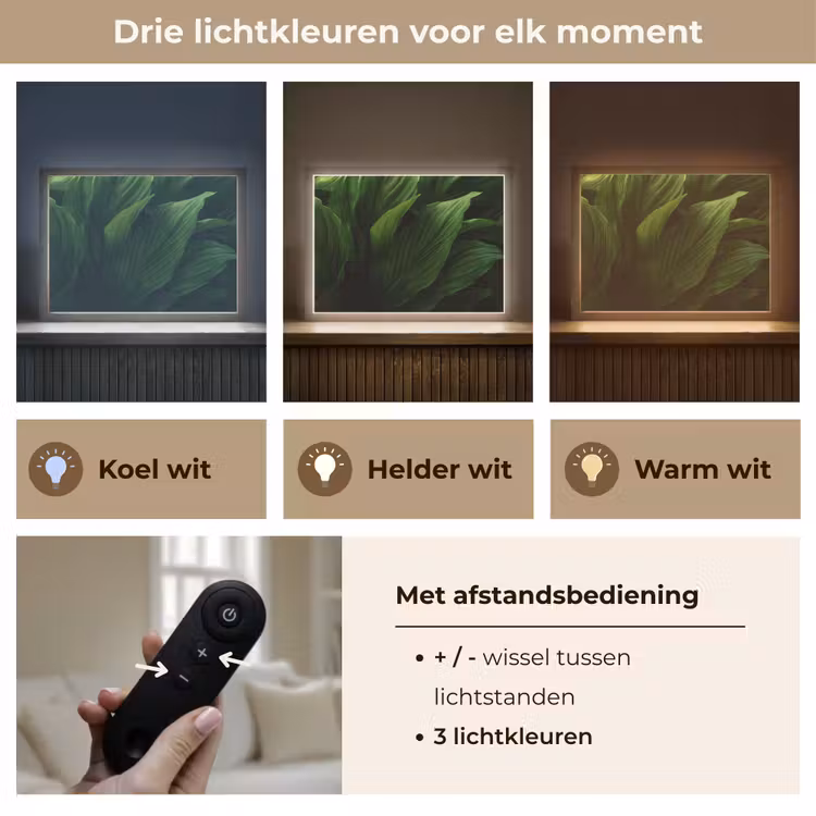 Lightbox - Wandlamp - Bladeren - Schaduw - Groen - Textuur — 8