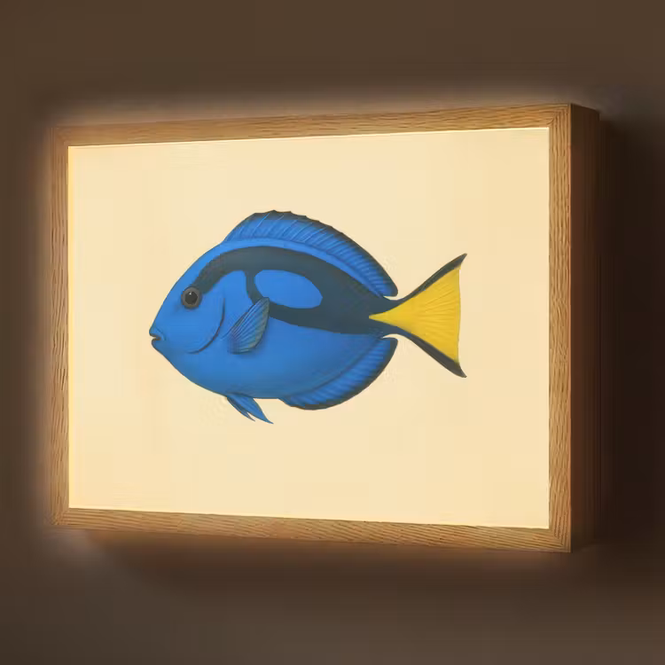 Lightbox - Wandlamp - Blauw - Dory - Vis - Staartvin — 1