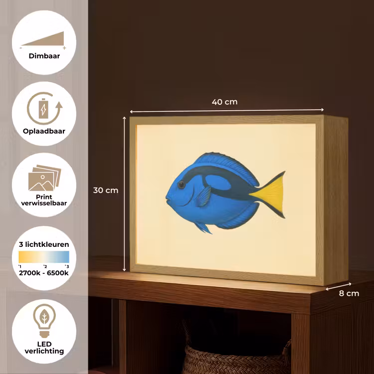 Lightbox - Wandlamp - Blauw - Dory - Vis - Staartvin — 10