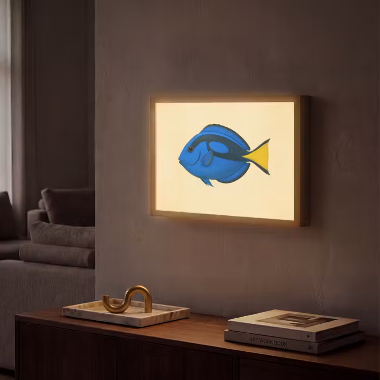 Lightbox - Wandlamp - Blauw - Dory - Vis - Staartvin — 2