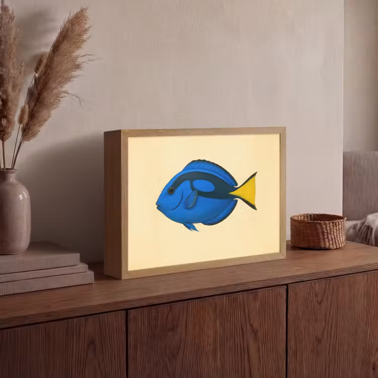 Lightbox - Wandlamp - Blauw - Dory - Vis - Staartvin — 4