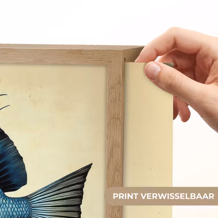 Lightbox - Wandlamp - Blauw - Kieuwen - Vis - Illustratie — 5