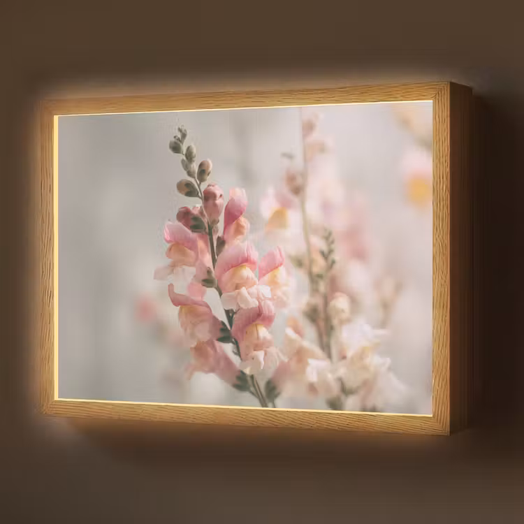 Lightbox - Wandlamp - Bloem - Leeuwenbek - Roze - Stengel — 1