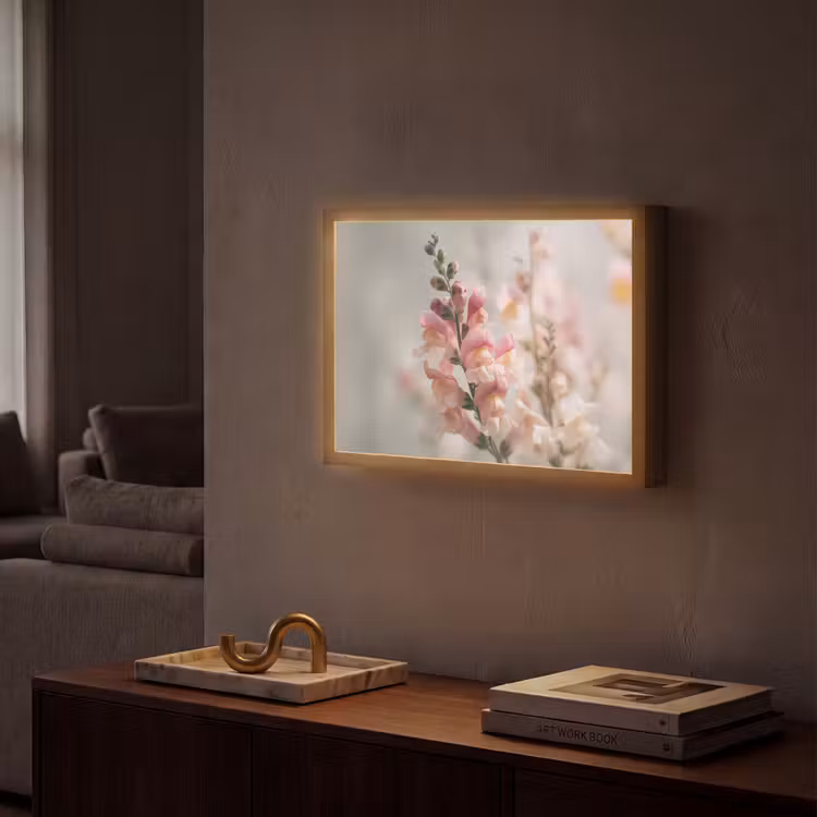 Lightbox - Wandlamp - Bloem - Leeuwenbek - Roze - Stengel — 2