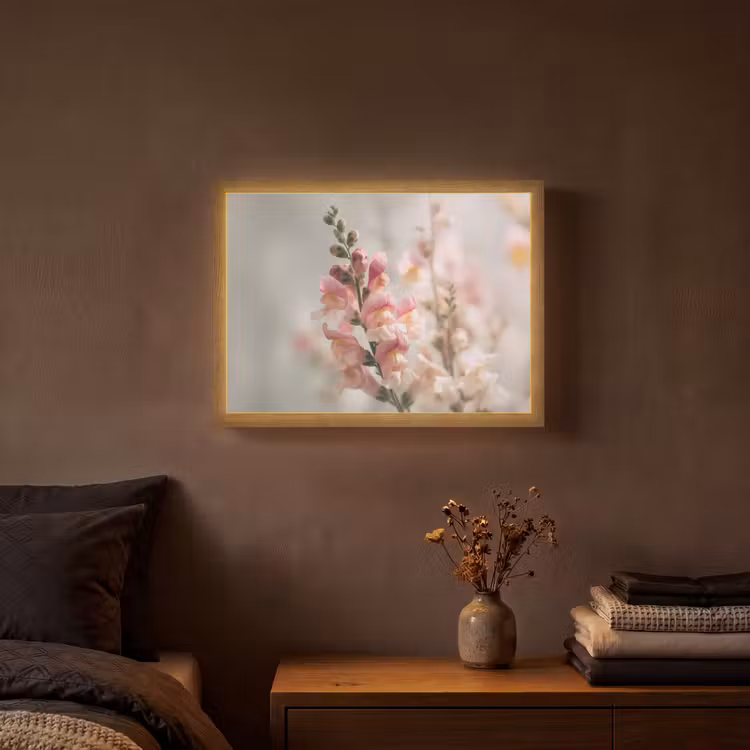 Lightbox - Wandlamp - Bloem - Leeuwenbek - Roze - Stengel — 3