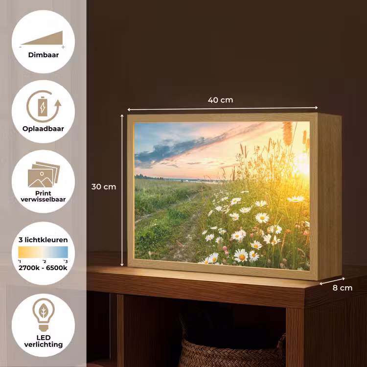 Lightbox - Wandlamp - Bloemen - Madelief - Natuur - Zon - Horizon — 10