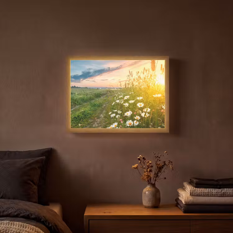 Lightbox - Wandlamp - Bloemen - Madelief - Natuur - Zon - Horizon — 3