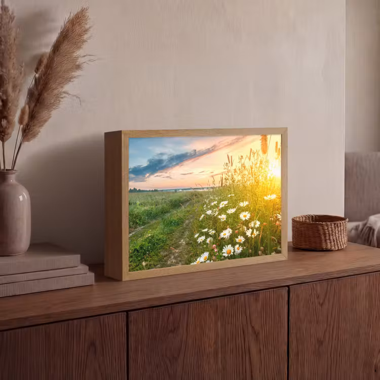 Lightbox - Wandlamp - Bloemen - Madelief - Natuur - Zon - Horizon — 4