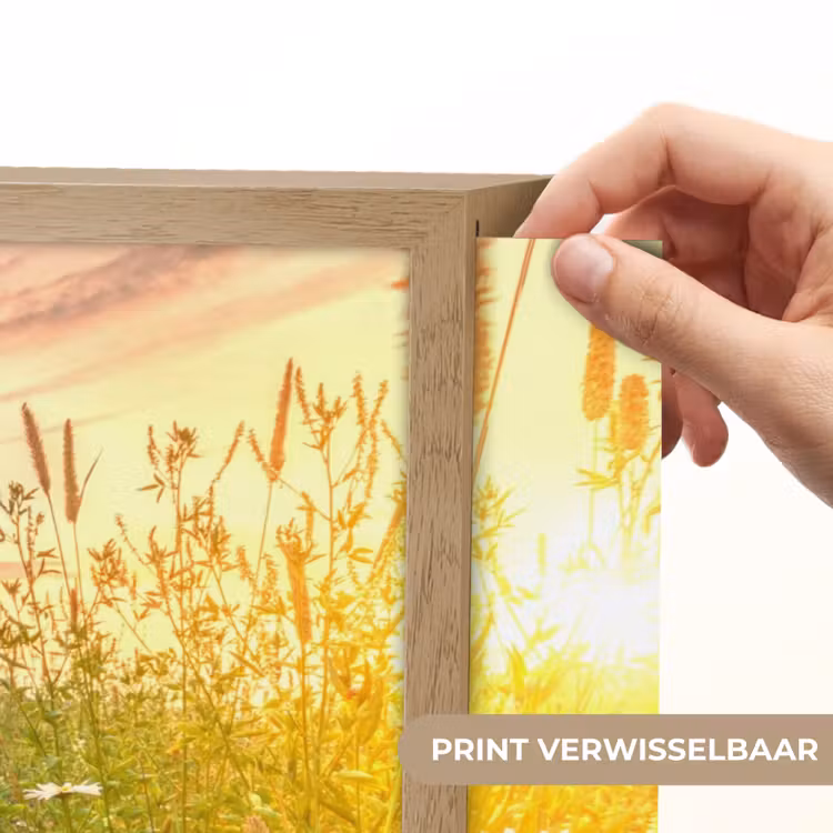 Lightbox - Wandlamp - Bloemen - Madelief - Natuur - Zon - Horizon — 5