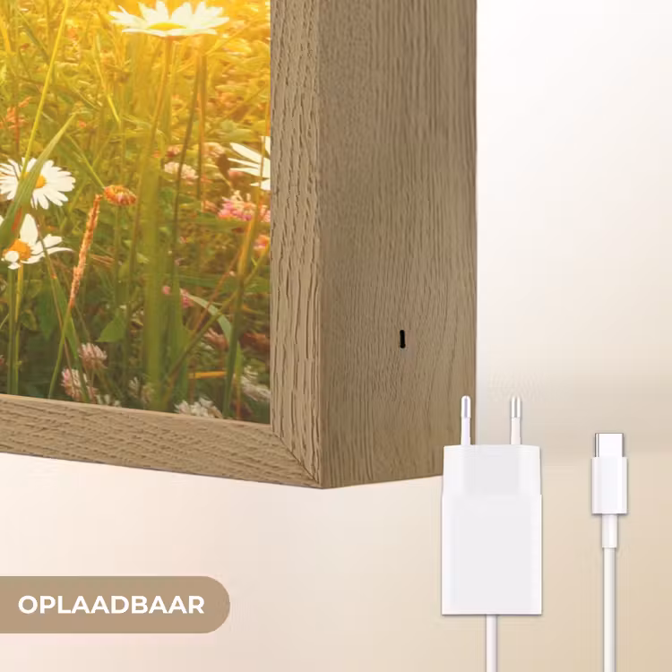 Lightbox - Wandlamp - Bloemen - Madelief - Natuur - Zon - Horizon — 7