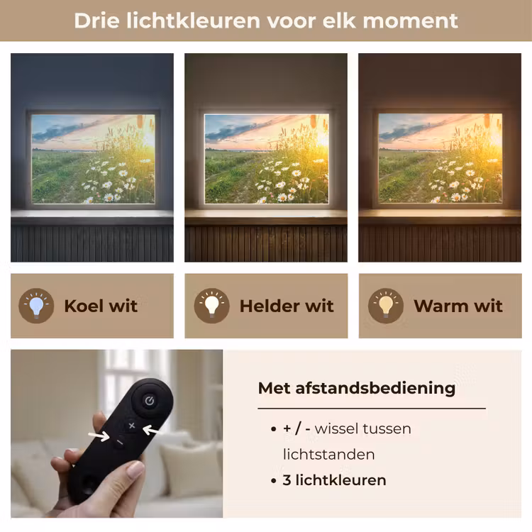 Lightbox - Wandlamp - Bloemen - Madelief - Natuur - Zon - Horizon — 8