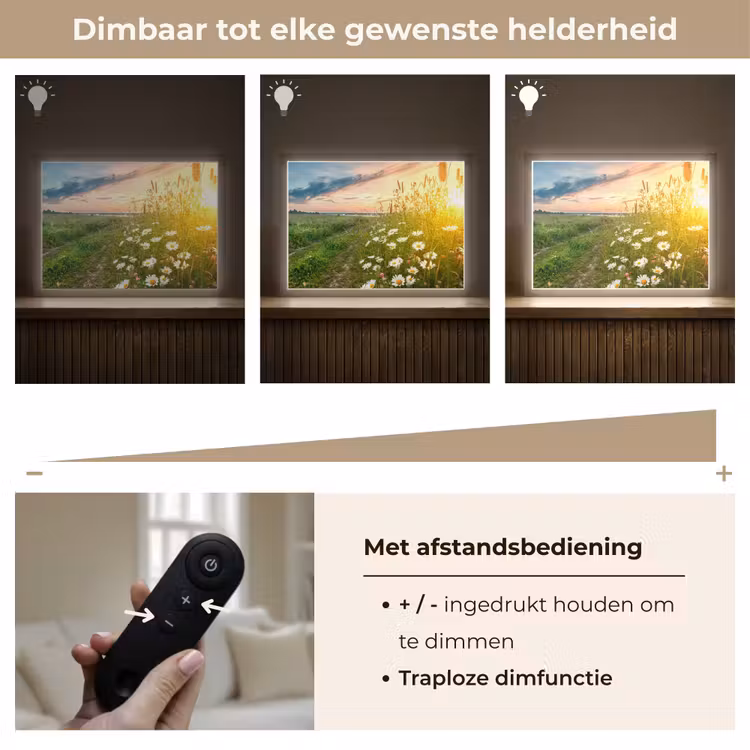 Lightbox - Wandlamp - Bloemen - Madelief - Natuur - Zon - Horizon — 9