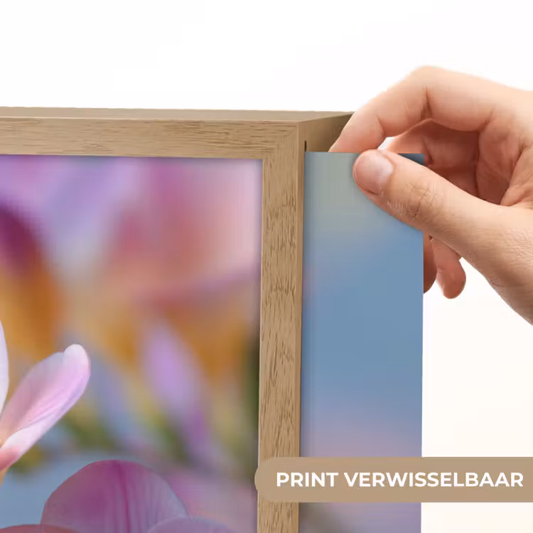Lightbox - Wandlamp - Bloemen - Paars - Overloop - Meeldraden — 5