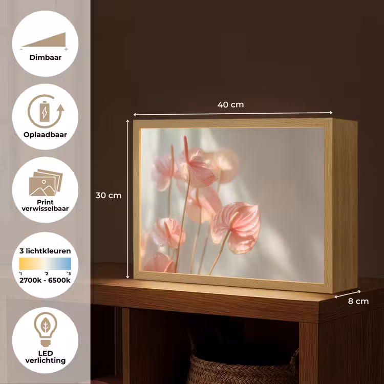 Lightbox - Wandlamp - Bloemen - Stelen - Roze - Schaduw — 10
