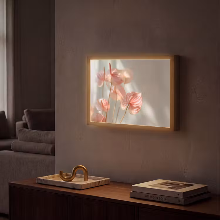 Lightbox - Wandlamp - Bloemen - Stelen - Roze - Schaduw — 2