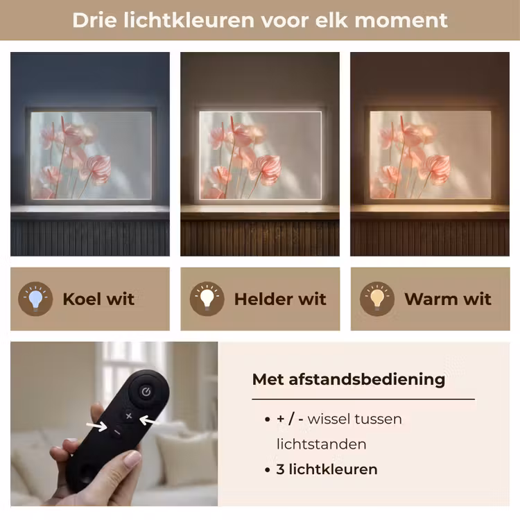 Lightbox - Wandlamp - Bloemen - Stelen - Roze - Schaduw — 8
