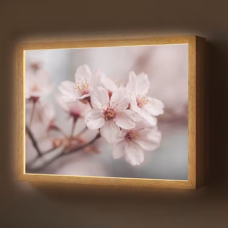 Lightbox - Wandlamp - Bloesems - Meeldraden - Geel - Wazig — 1